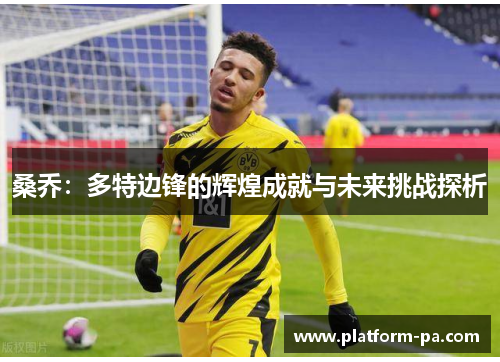 桑乔：多特边锋的辉煌成就与未来挑战探析
