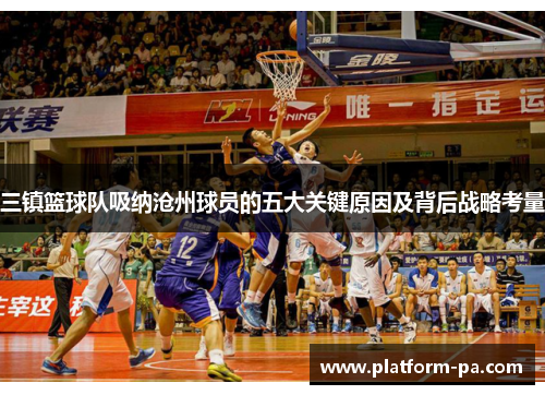 三镇篮球队吸纳沧州球员的五大关键原因及背后战略考量