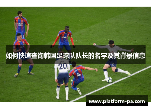 如何快速查询韩国足球队队长的名字及其背景信息