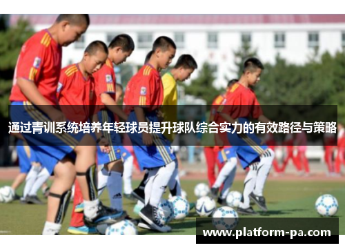 通过青训系统培养年轻球员提升球队综合实力的有效路径与策略 通过青训系统培养年轻球员提升球队综合实力的有效路径与策略