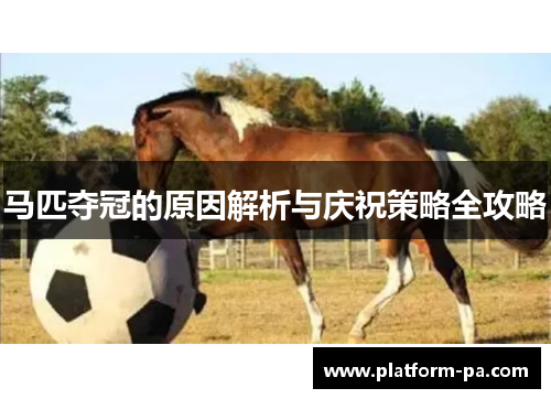 马匹夺冠的原因解析与庆祝策略全攻略 马匹夺冠的原因解析与庆祝策略全攻略
