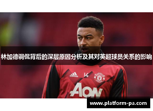 林加德调侃背后的深层原因分析及其对英超球员关系的影响 林加德调侃背后的深层原因分析及其对英超球员关系的影响