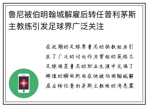 鲁尼被伯明翰城解雇后转任普利茅斯主教练引发足球界广泛关注 鲁尼被伯明翰城解雇后转任普利茅斯主教练引发足球界广泛关注